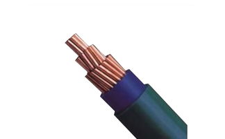 六安低压电缆价钱 光之源线缆 厂家直销性价比高